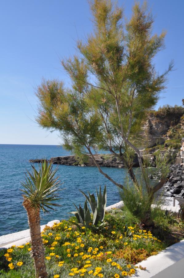 Bed and Breakfast La Citarea Forio di Ischia Exteriér fotografie