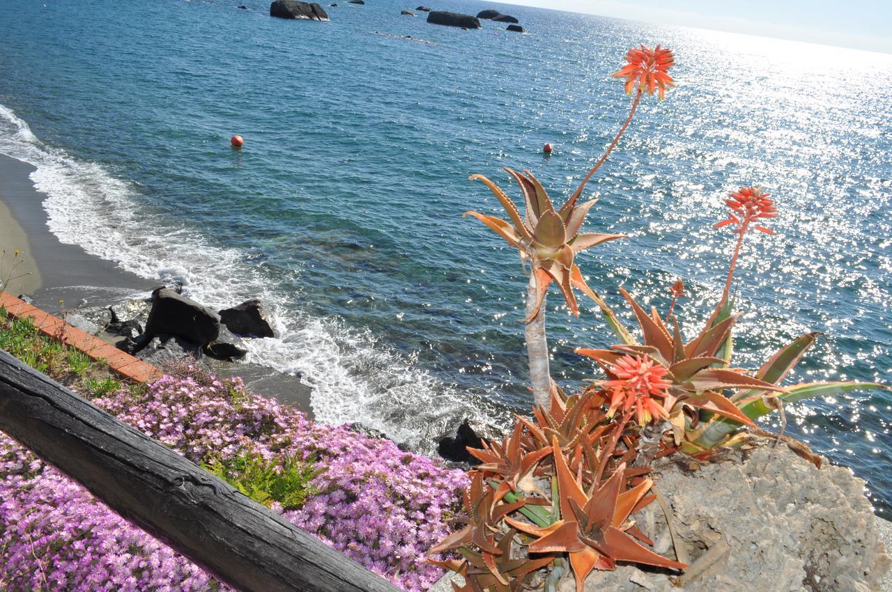 Bed and Breakfast La Citarea Forio di Ischia Exteriér fotografie