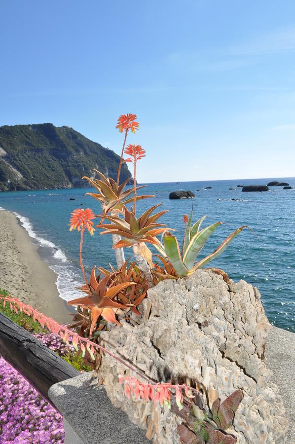 Bed and Breakfast La Citarea Forio di Ischia Exteriér fotografie