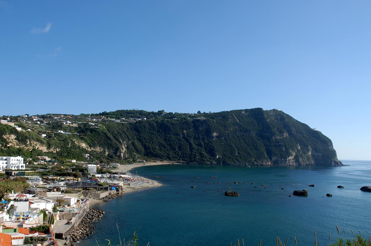 Bed and Breakfast La Citarea Forio di Ischia Exteriér fotografie